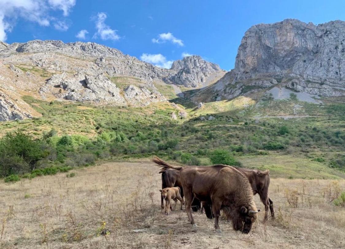 Los Toriles Los Espejos de la Reina Exteriér fotografie